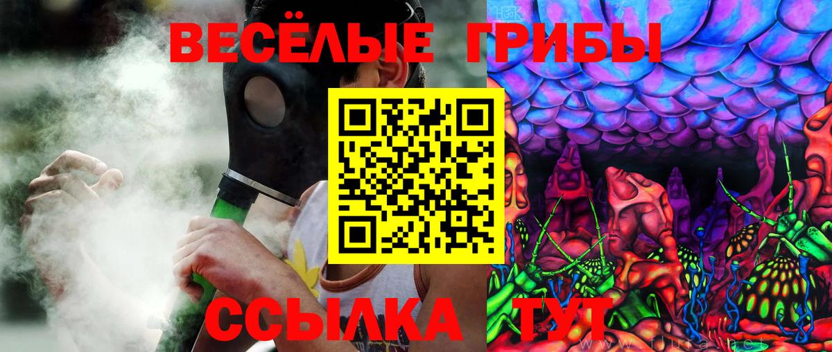 Псилоцибиновые грибы Cubensis  Вход с VPN  Галлюциногенные грибы мицелий  Алушта 